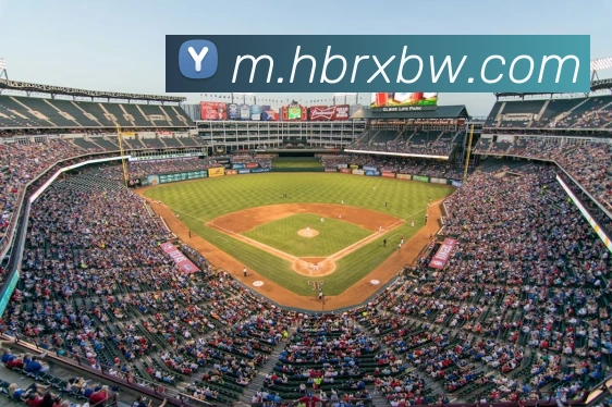 开云app官方在线入口发展历程